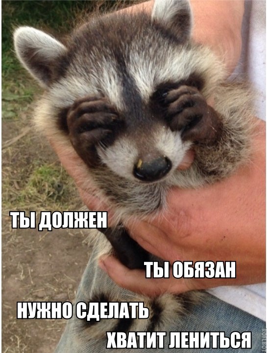 Ты должен ты обязан