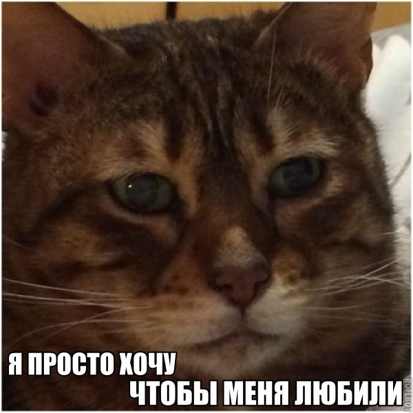Я просто хочу чтобы меня любили