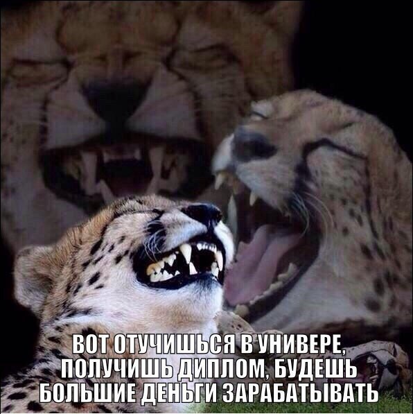 Вот отучишься в универе, получишь диплом, будешь большие деньги зарабатывать
