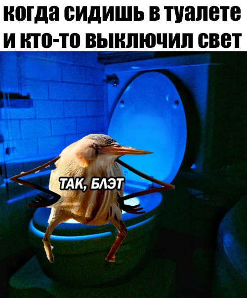 Когда сидишь в туалете и кто-то выключил свет
