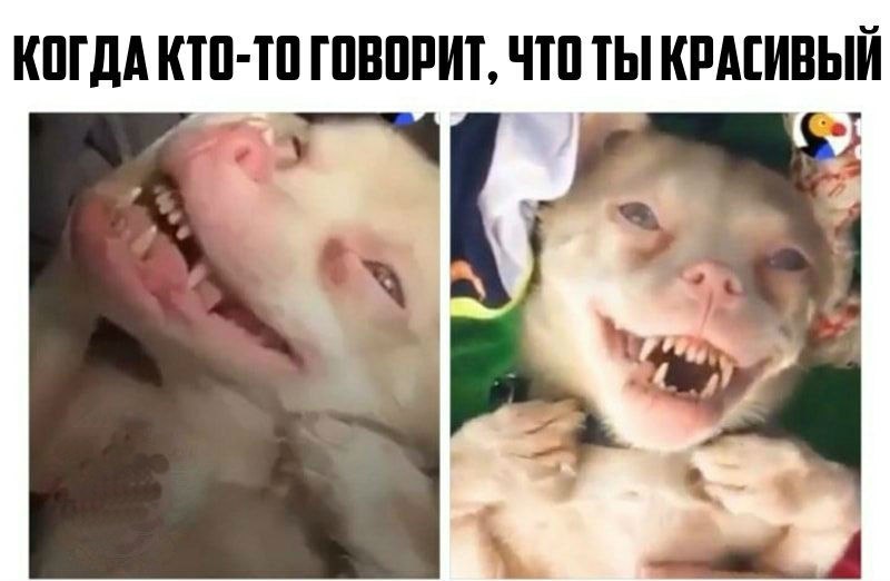 Когда кто-то говорит что ты красивый