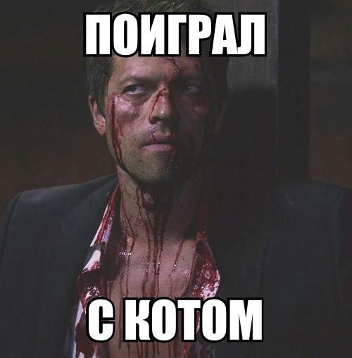 Поиграл с котом